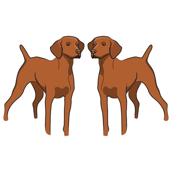 Vizsla Dog Decal, Dog Lover Decor Vinyl Sticker